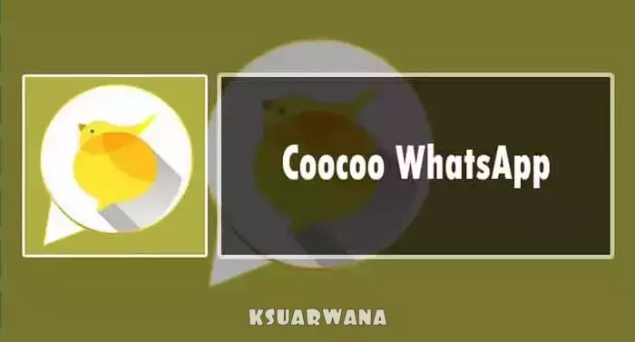 Cocoo WhatsApp