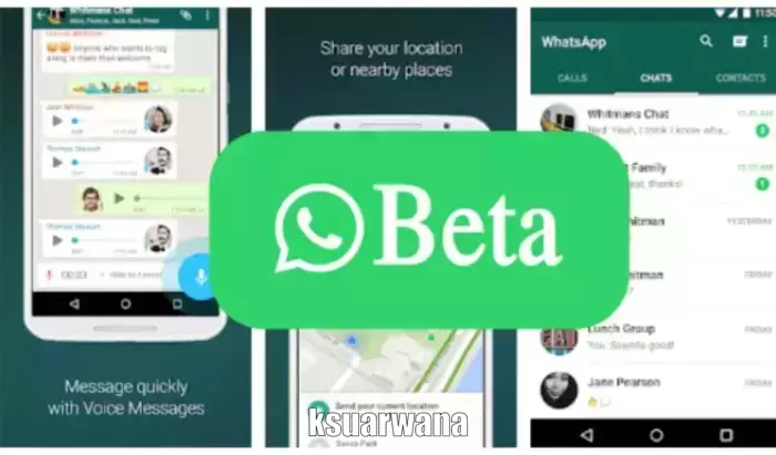 Download WhatsApp Beta