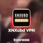 Xnxubd VPN Browser Apk