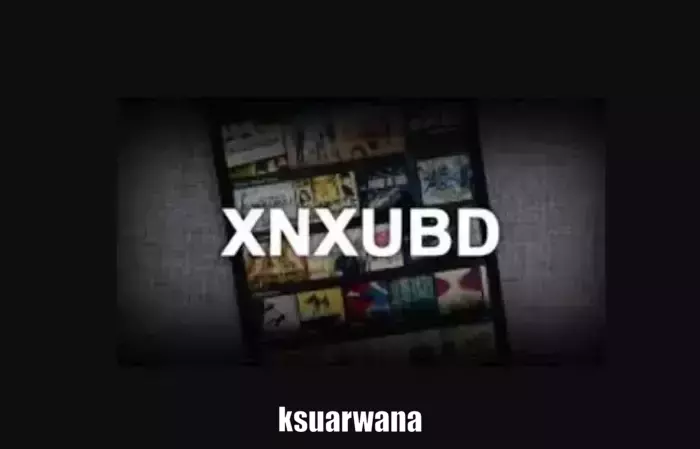 Xnxubd VPN Browser Apk 3